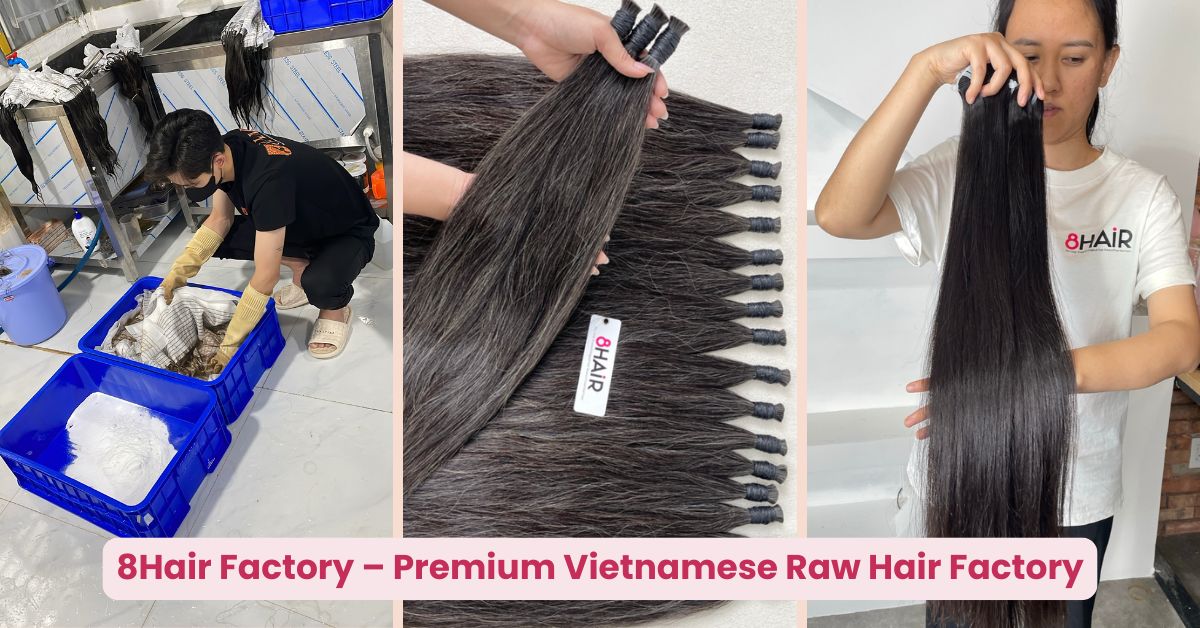 Raw Hair Vendors Wholesale